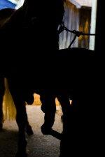 Shoeing Norman (Silhouette)