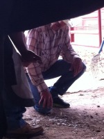 New Mexico Farrier In The Field