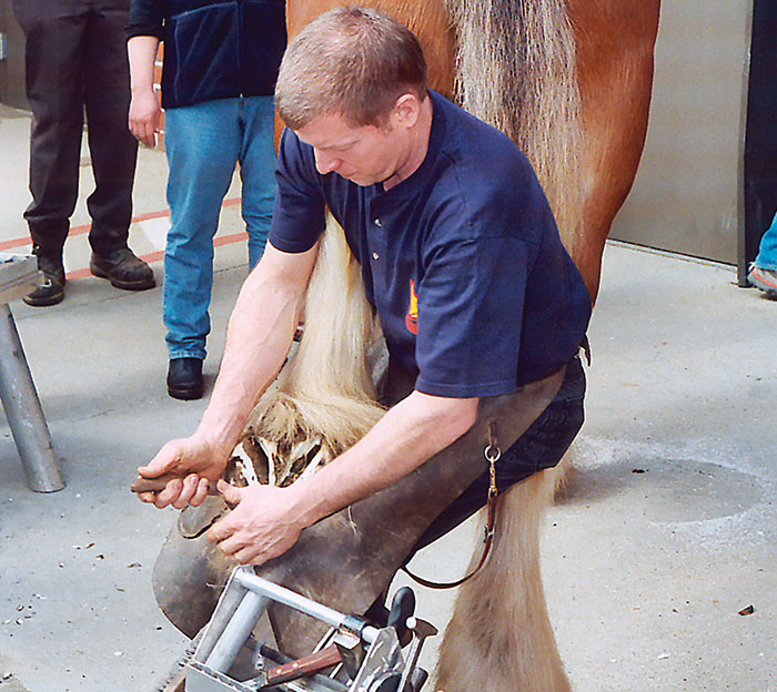 One Farrier's Approach to Shoeing Drafts American Farriers Journal