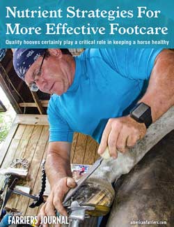 Nutrient Strategies For More Effective Footcare