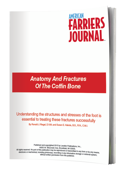 Anatomy and Fractures of the Coffin Bone