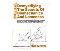 Demystifying Secrets of the Limb