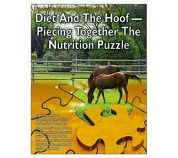 Diet And The Hoof - Piecing Together The Nutrition Puzzle