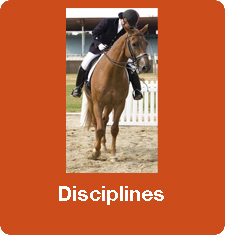 Disciplines