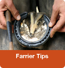 Farrier Tips
