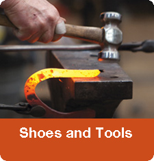 Shoe and Tools