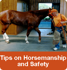 Tips on Horsemanship and Safety