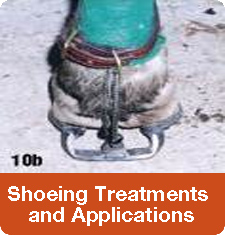 Treatments and Applications