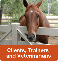 Clients, Trainers, Veterinarians