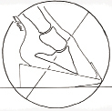 Venogram 1:4
