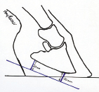 Figure 7c