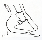 Figure 7d