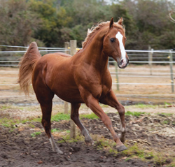 Twister now has a clean bill of health