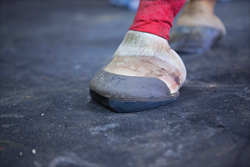 Therapeutic Shoe