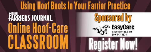 Hoof Boots Webinar