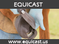 Equicast Equicast