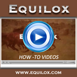Check out these videos from Equilox Check out these videos from Equilox