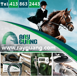 Ninghai Rayguang Ninghai Rayguang