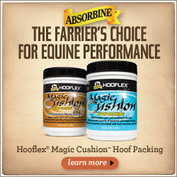 The Farrier's Choice (Magic Cushion) Magic Cushion
