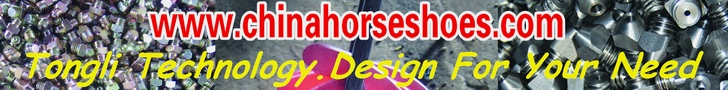 China Horseshoes