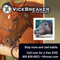 vicebreaker_block_012809.jpg