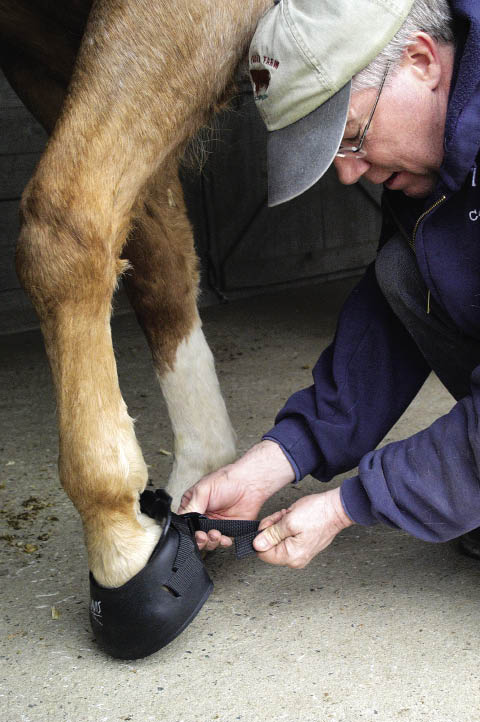 Selecting the proper boot and get- ting the right fit for a given situation is usually the difference between success and failure. Boots can be dangerous and unreliable when fit by untrained owners or trainers.