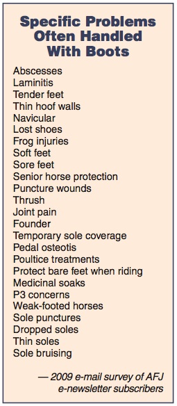 Specific Problems Often Handled With Boots