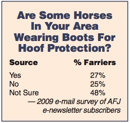 Are Some Horses In Your Area Wearing Boots For Hoof Protection?