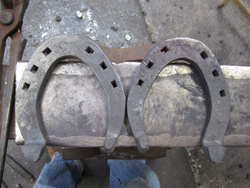 Figure 48