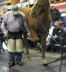 The Homemade Hoof