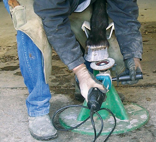 Hoofjack, grinder and horse hoof