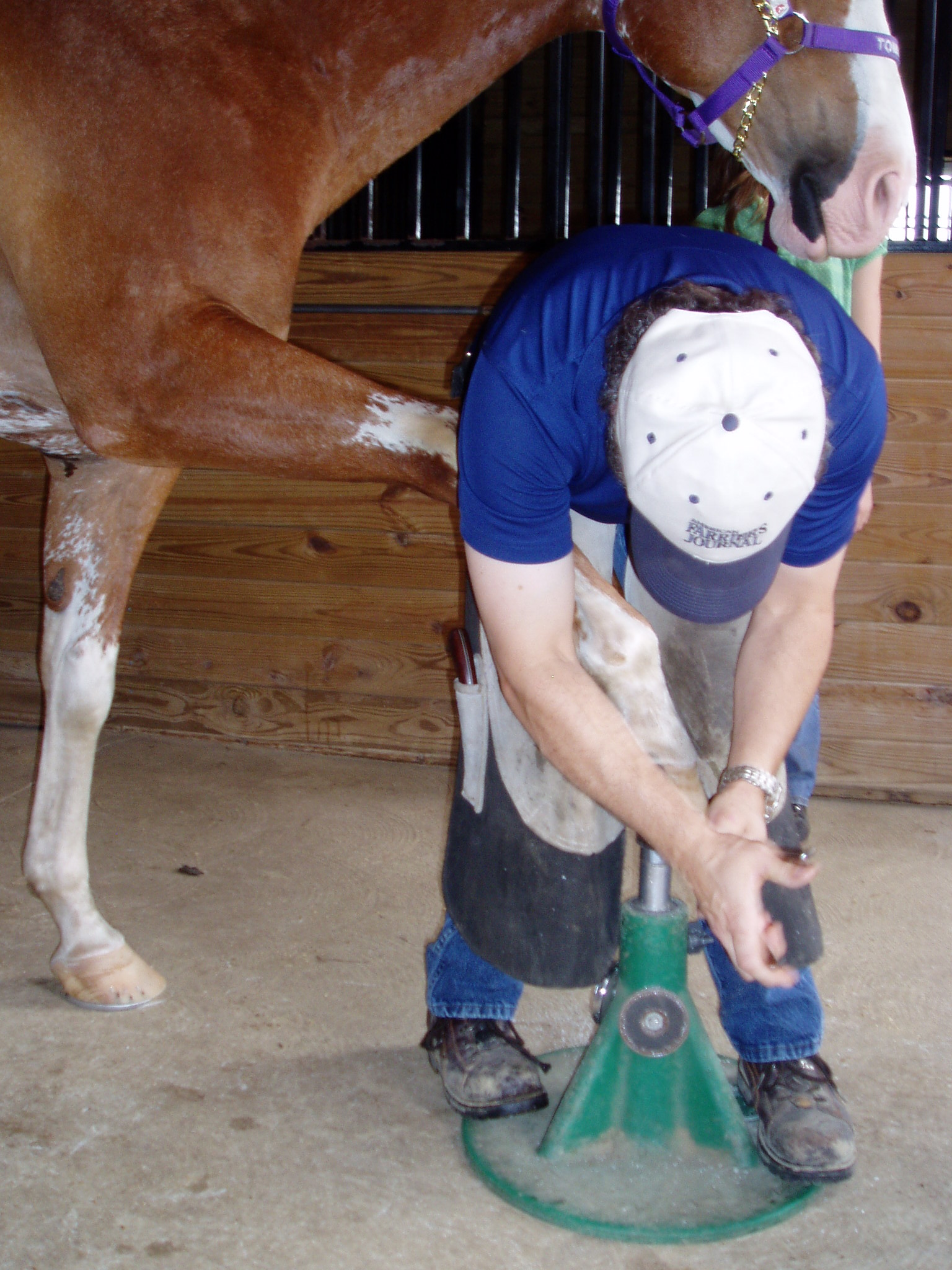 horsemanship and your approach