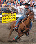 Roping horses Roping horses