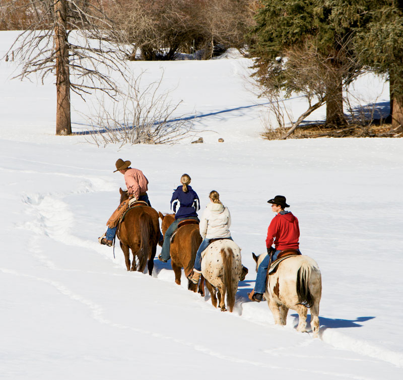 winter shoeing winter shoeing