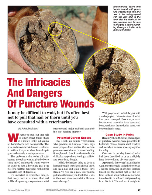 "The Intricacies And Dangers Of Puncture Wounds" article