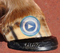 Derek Poupard's latex mold shoe