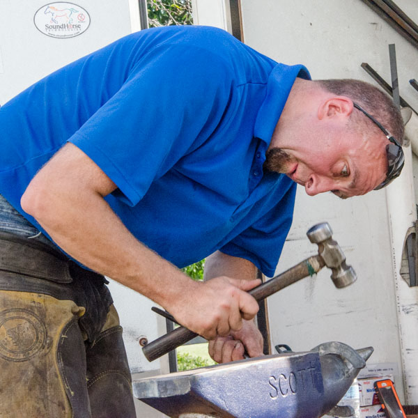 American Farrier's Association Certification