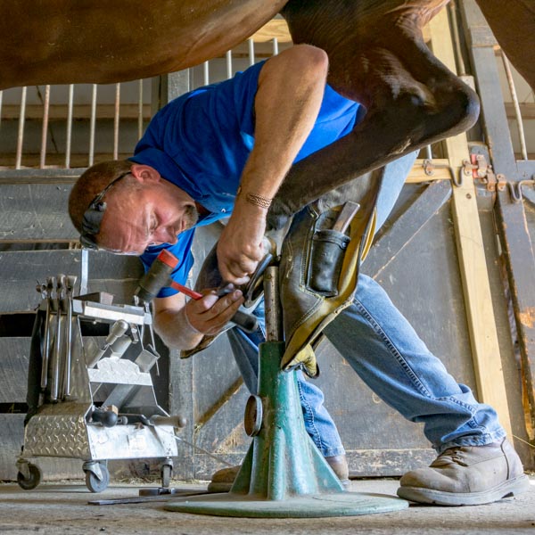 Fall 2017 American Farriers Association Certification, Mokena, Illinois
