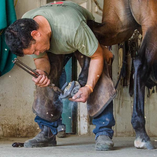Fall 2017 American Farriers Association Certification, Mokena, Illinois