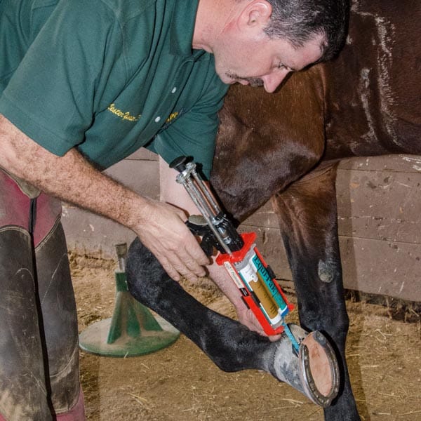Farriers at Work Lester Yoder October 2014