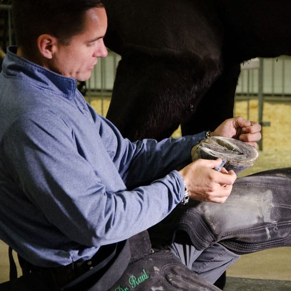 The Midwest Equine Podiatry Conference, November 2019