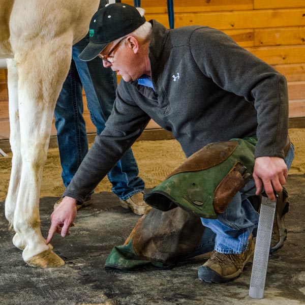 Wisconsin Equine Clinic