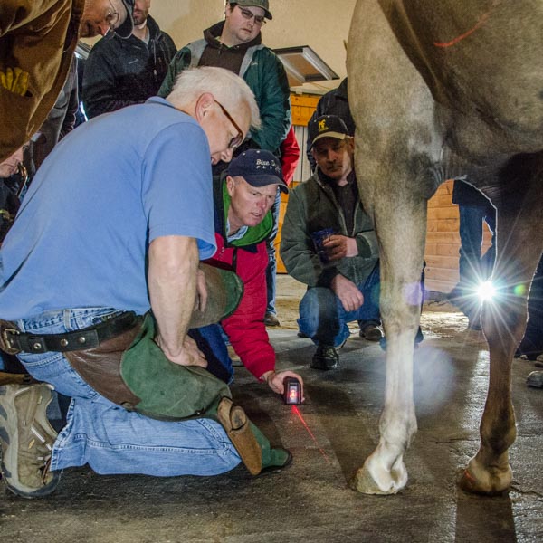 Wisconsin Equine Clinic