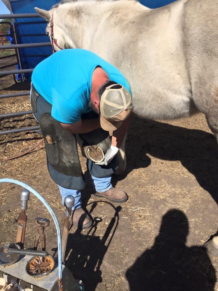 Farriers Spotlight