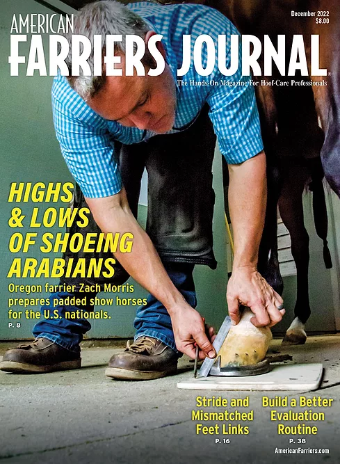 Cover_AFJ_1222.jpg