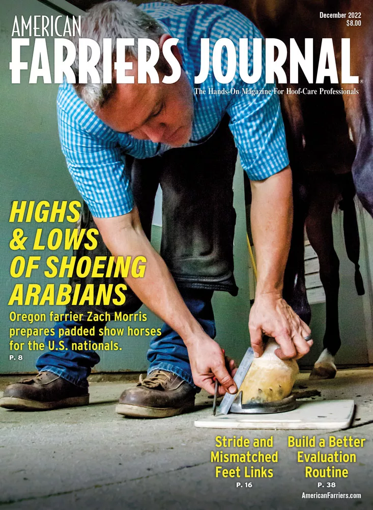 Cover_AFJ_1222.jpg