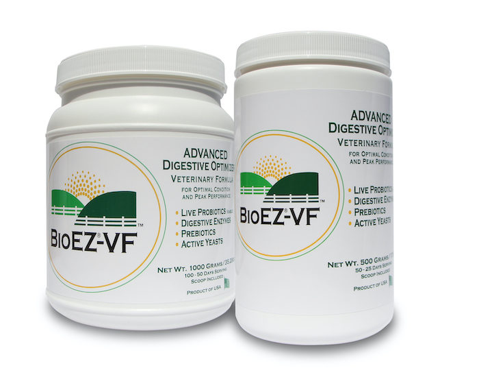 BioEZ Health:Giddyap VF-BioEZ Advanced Digestive Optimizer_0323 copy.jpg