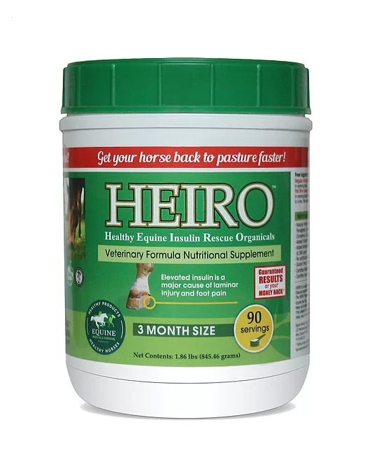 Equine Medical and Surgical Assoc. Heiro_0323copy.jpg