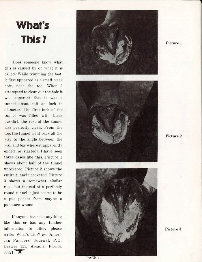 March_1975 American Farriers Journal.png
