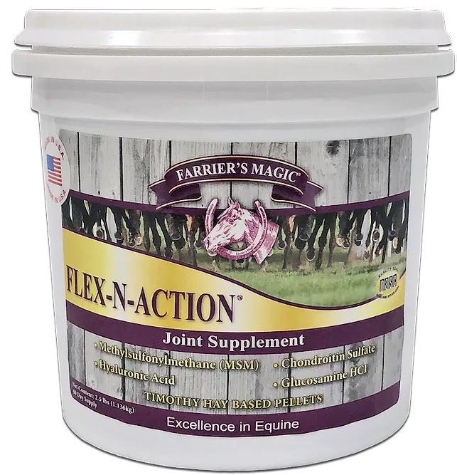 Flex-N-Action.png
